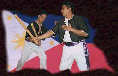 Welcome to the Eskrima Demonstration Photo Album